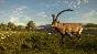 ✅theHunter Call of the Wild Cuatro Colinas Game Reserve