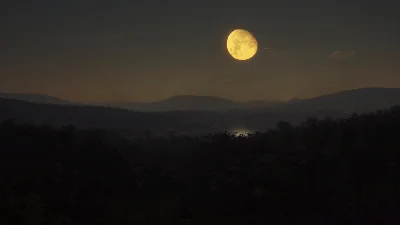 ✅theHunter: Call of the Wild Parque Fernando⭐Steam\Key⭐