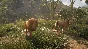 ✅theHunter Call of the Wild Vurhonga Savanna⭐Steam\DLC⭐