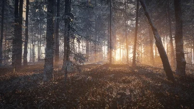 ✅theHunter: Call of the Wild Medved-Taiga⭐Steam\Key⭐+🎁