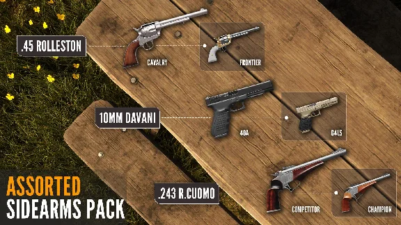✅theHunter Call of the Wild Assorted Sidearms Pack⭐Стим