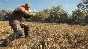 ✅theHunter: Call of the Wild Weapon Pack 3 ⭐Steam\DLC⭐
