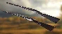 ✅theHunter Call of the Wild Wild Goose Chase Gear⭐Steam