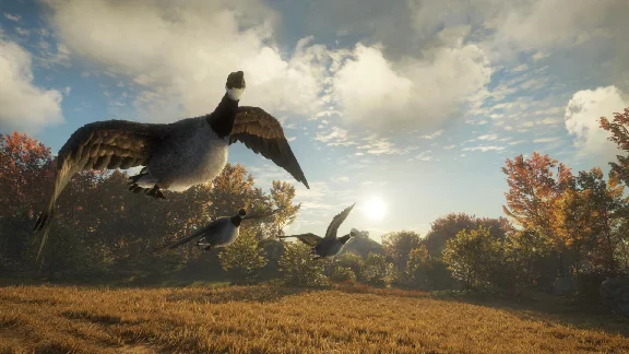✅theHunter Call of the Wild Wild Goose Chase Gear⭐Steam
