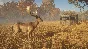 ✅theHunter: Call of the Wild Tents Ground Blinds⭐Steam⭐