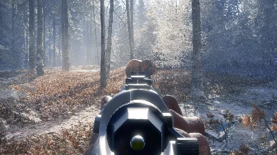 ✅theHunter Call of the Wild Hunter Power Pack⭐Steam\Key