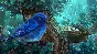 ✅ Tiny Tales: Heart of the Forest Xbox activation