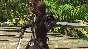 FINAL FANTASY XIV: Dawntrail - Collector´s Edition DLC