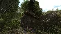 Dinosaur Forest (Steam Gift Region Free / ROW)