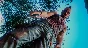 🔑КЛЮЧ✅FAR CRY 3 CLASSIC EDITION🎮XBOX ONE|XS✅