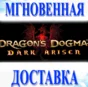 🔥Dragon´s Dogma: Dark Arisen\Steam\Весь Мир + РФ\Ключ