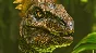 ✅ARK: Survival Ascended 🌍 STEAM• RU|KZ|UA|TR|AG 🚀