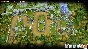 ✅Warstone TD ⚫STEAM🔑КЛЮЧ🌎РФ+ВЕСЬ МИР +🎁