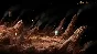 ✅Samorost 3 ⭐Steam\RegionFree\Key⭐ + Bonus