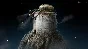 ✅Samorost 3 ⭐Steam\RegionFree\Key⭐ + Bonus