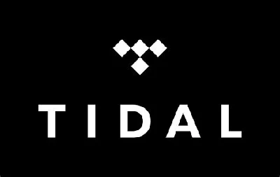 🎉TIDAL HiFi PLUS ACCOUNT ★ ⏳ 1/2MONTHS ★WARRANTY 💯🏆