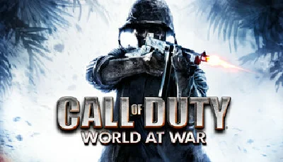 Call of Duty: World at War STEAM GIFT Turkey