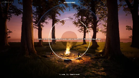 🔥PLAYNE : The Meditation Game\Steam\Worldwide + RU\Key
