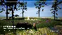 🔥PLAYNE : The Meditation Game\Steam\Worldwide + RU\Key