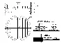 Drawings lattices under Raschig rings