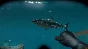 🔶Shark Attack Deathmatch 2 (Steam Key/Region Free)🔑