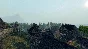 ✅Life is Feudal: Your Own ⭐Steam\RegionFree\Key⭐ +Bonus