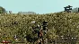 ✅Life is Feudal: Your Own ⭐Steam\RegionFree\Key⭐ +Bonus