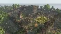 ✅Life is Feudal: Forest Village ⭐Steam\Global\Key⭐ + 🎁