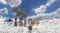 STAR WARS™: BATTLEFRONT CLASSIC COLLECTION 🟢XBOX