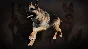 Icarus: Pet Companions Pack 💎 DLC STEAM GIFT RUSSIA