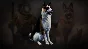 Icarus: Pet Companions Pack 💎 DLC STEAM GIFT RUSSIA