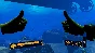 Deep Diving VR 💎 АВТОДОСТАВКА STEAM GIFT РОССИЯ