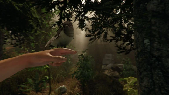 The Forest (Steam Gift \ROW\ Region Free)