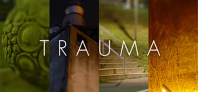 Trauma (Steam) + Discounts