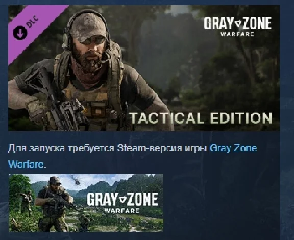 Gray Zone Warfare - Tactical Edition Upgrade 💎STEAM RU