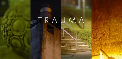 Trauma (Steam Key / Region Free)