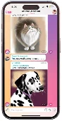 ChatGPT 4 PLUS in your Telegram 😲AUTOSUBSCRIPTION🚀