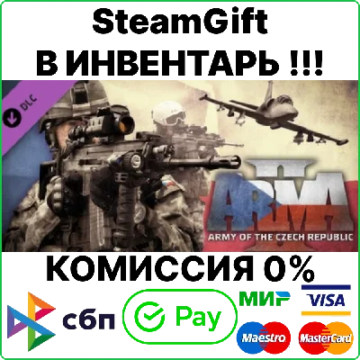 Arma 2: Army of the Czech Republic SteamGift/RU+CIS💳0%