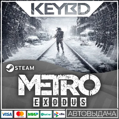 Metro Exodus Steam-RU 🚀 АВТО 💳0% Карты