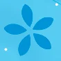 ✅CrystalDiskMark Shizuku Edition Windows PC