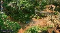 Jagged Alliance 3 (steam key)