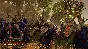 ✅Total War WARHAMMER Realm of The Wood Elves ⚫STEAM⭐DLC