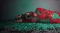 Garten of Banban 7 - STEAM GIFT RUSSIA