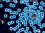 Neptunia Shooter (steam key)