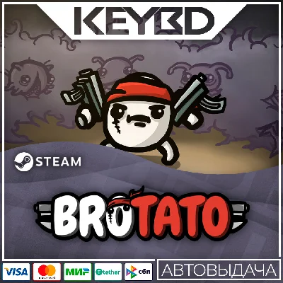 Brotato · Steam Gift🚀АВТО💳0% Карты