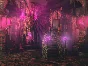Empress Of The Deep 2 Song Of The Blue Whale (steam)