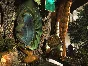 Empress Of The Deep 2 Song Of The Blue Whale (steam)