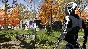 The Talos Principle (steam key)