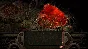 ✅Planescape Torment: Enhanced Edition ⭐Steam\Key⭐ + 🎁