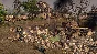 Men of War II - Deluxe Edition (Steam Gift Россия)